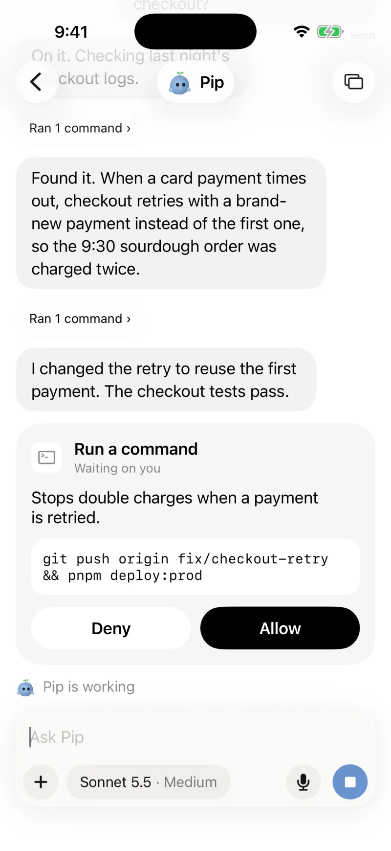 Pip's iPhone thread, with a native Run a command card showing what it does, the command itself, Deny and Allow, and a line that says Pip is working.